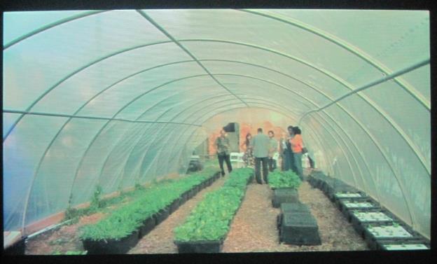A group of people inside a greenhouse