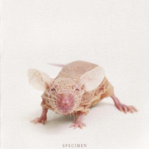 image of a mouse the cover to Speciment catalog