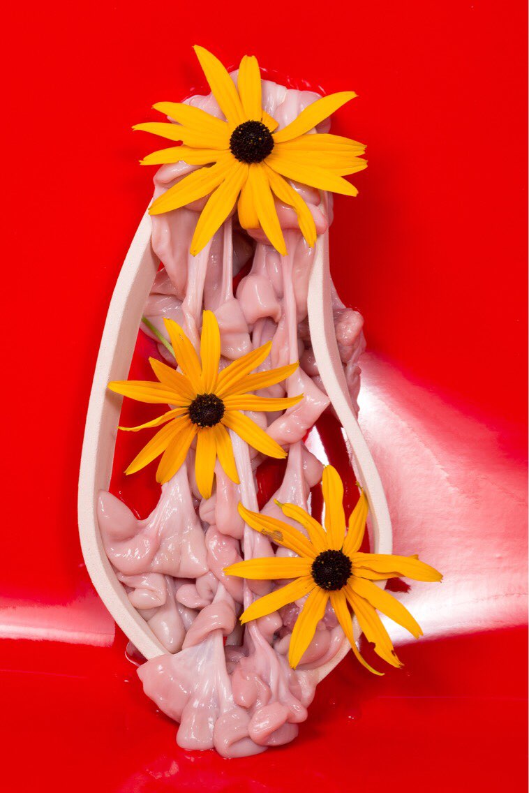 Three daisies surrounded by tripe within a soft clay band on a shiny red backdrop